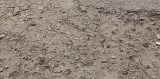 नेहरू नगर पोखरा आवास की सड़क बदहाल:गड्ढों से लोग परेशान, विभाग नहीं ले रहा संज्ञान