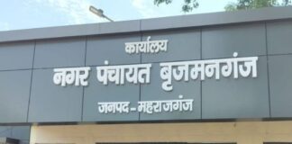 बृजमनगंज में मच्छरों का प्रकोप बढ़ा:लोग परेशान, बीमारियों का खतरा; फॉगिंग की मांग