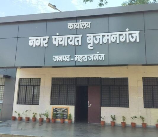 बृजमनगंज में मच्छरों का प्रकोप बढ़ा:लोग परेशान, बीमारियों का खतरा; फॉगिंग की मांग