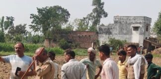 खेत में दिखा तेंदुए का शावक:ग्रामीणों की भारी भीड़, मौके पर वन विभाग