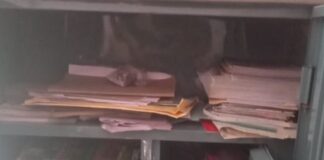 वेसौरा के प्राथमिक विद्यालय में चोरी:डेस्क, पंखे, गैस सिलेंडर समेत हजारों का सामान ले उड़े चोर; केस दर्ज