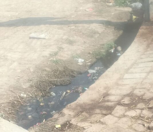 सड़क किनारे खुली नाली:खंभारा में दुर्गंध और मच्छरों का प्रकोप, बीमारियों का खतरा बढ़ा