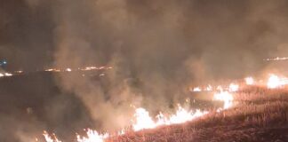 खेसरहा क्षेत्र में गेहूं के डंठल जलाने का सिलसिला जारी:प्रशासन की सख्ती के बावजूद किसान कर रहे नियमों की अनदेखी