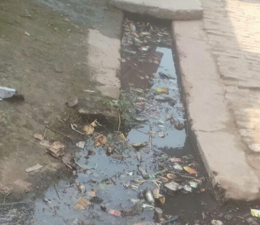 दिकौली में खुला नाला:दुर्गंध और मच्छरों से संक्रमित बीमारियों का खतरा बढ़ा