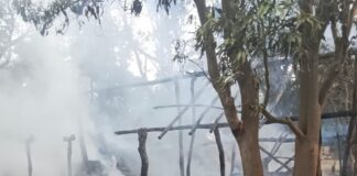 श्रावस्ती के मुरावन पुरवा में फूस के घर में आग:गृहस्थी का सामान जला, मक्का भूनते समय लगी आग