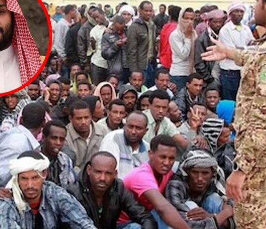 सऊदी में मास क्रैकडाउन: हफ्तेभर में 14 हजार से ज्यादा लोग गिरफ्तार, कश्मीरी युवक हिरासत में News Desk