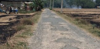 विकास की गिट्टियां उखड़ीं, गड्ढे बचे:ऐचनी गांव में 4 साल में ही बीमार हुई विकास निधि की सड़क, अफसरों ने बनाया और भूल गए