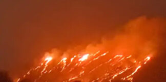 इंदौरः जानापाव की पहाड़ी पर लगी आग, वन विभाग का अमला काबू पाने में जुटा