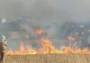 बरगदही-गोपाला सिवान में भीषण आग:अज्ञात कारणों से 50 एकड़ गेहूं की फसल राख