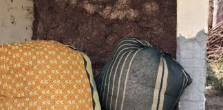 पंचायत भवन बना भूसा-गोइठा रखने का ठिकाना:कोटिया पांडे में विवाद में फंसा विकास कार्य, कोर्ट में पहुंचा मामला