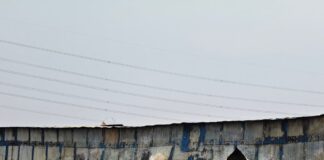 झरवलिया में भूसा गोदाम जलकर राख:आग से 25 लाख का नुकसान, पशु चारे का संकट