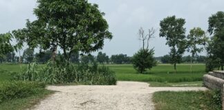 डुमरियागंज में 4 किमी सड़क जर्जर, आवागमन मुश्किल:9 साल से मरम्मत नहीं, ठेकेदार गिट्टी डालकर फरार