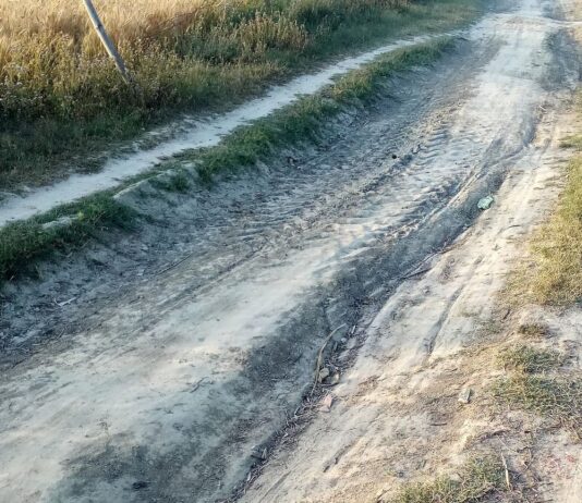 मोहनिया में खराब सड़क से किसान परेशान:बारिश में खेत पहुंचना मुश्किल, प्रशासन से मरम्मत की मांग