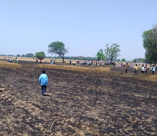 श्रावस्ती के गिलौला में गेहूं की फसल में आग:एक हेक्टेयर फसल जलकर राख, किसानों को आर्थिक क्षति