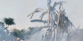 श्रावस्ती में धूं-धूं कर जले फूस के छप्पर:फायर ब्रिगेड और ग्रामीणों ने कड़ी मशक्कत के बाद पाया काबू, मची अफरा-तफरी