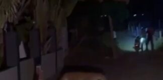 लोहरा गांव में किसान के घर में घुसा तेंदुआ:ग्रामीणों ने शोर मचाकर और ट्रैक्टर से खदेड़ा, वीडियो वायरल