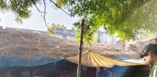 बीडीओ शमा सिंह पिपरिया पहुंचीं:फार्मर रजिस्ट्री अभियान का निरीक्षण कर सुनीं किसानों की समस्याएँ