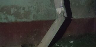 ट्रैक्टर से बिजली पोल क्षतिग्रस्त, तीन दिन से आपूर्ति बाधित:माधोपुर में जेई की तहरीर पर आरोपी के खिलाफ केस दर्ज