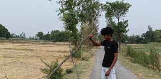 बस्ती के गोनार गांव में बिजली पोल टूटा, तार गिरे:जर्जर व्यवस्था से हादसे का खतरा, विभाग ने पोल लगाने का दिया आश्वासन