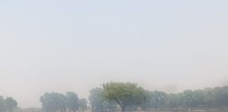 चंदोताल पक्षी विहार के पास खेतों में भीषण आग:बस्ती में चार घंटे तक धधकते रहे खेत, पराली जलकर राख