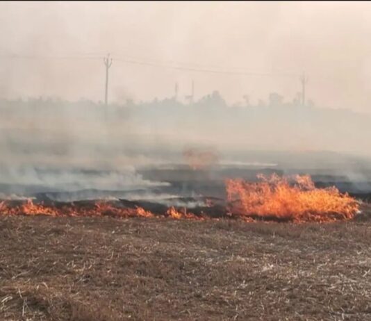 श्रावस्ती के धैसरा गांव में गेहूं के खेतों में आग:लाइनमैन की सूचना पर दमकल ने बुझाई, बड़ा हादसा टला