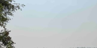 बस्ती के बैरिहवा पेट्रोल टंकी के पास लगी आग:पैकोलिया क्षेत्र में हुई घटना, फायर ब्रिगेड ने समय रहते पाया काबू; कोई जनहानि नहीं