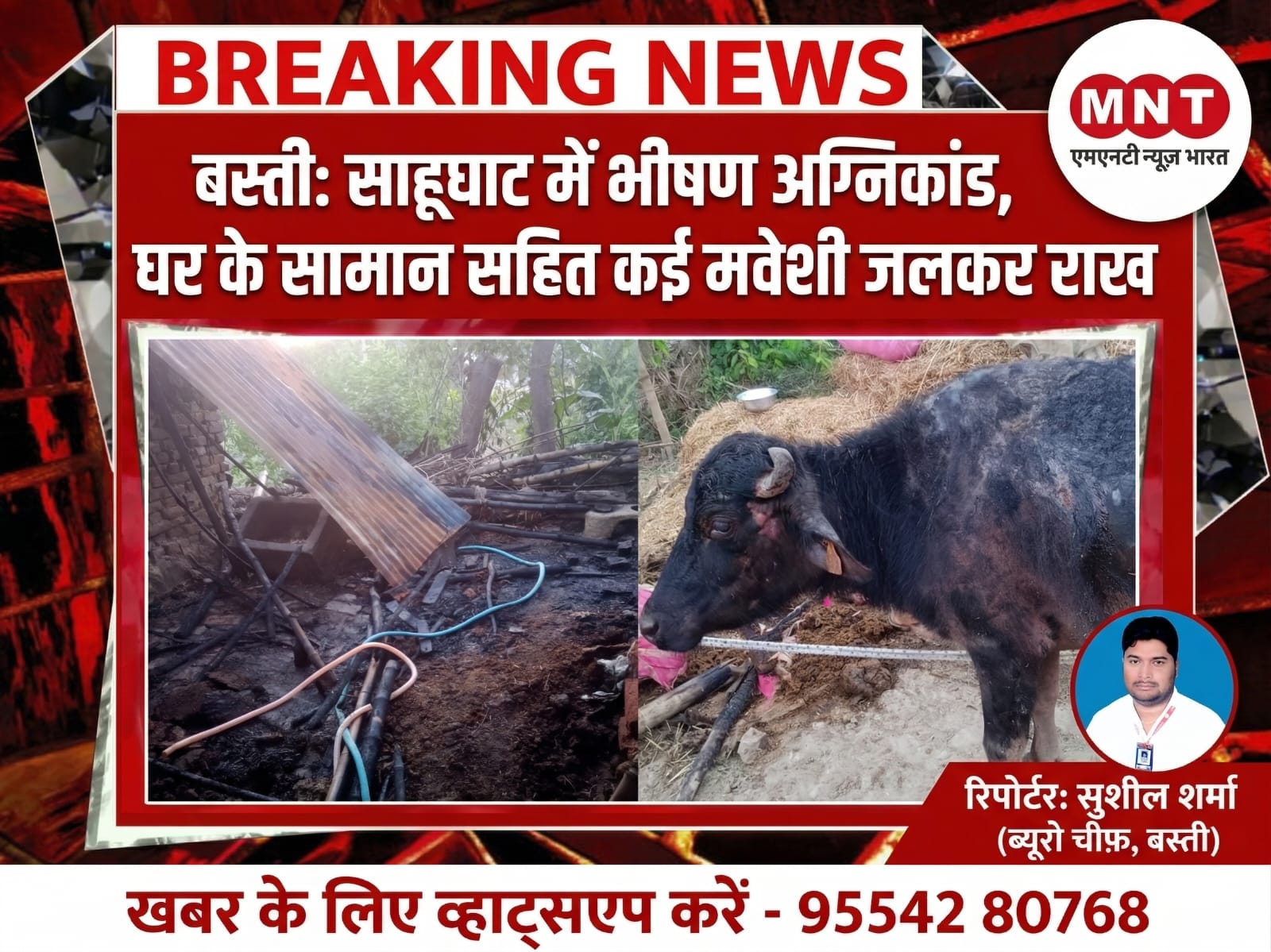 बस्ती: छितही प्रहलाद में भीषण अग्निकांड, घर के सामान सहित कई मवेशी जलकर राख