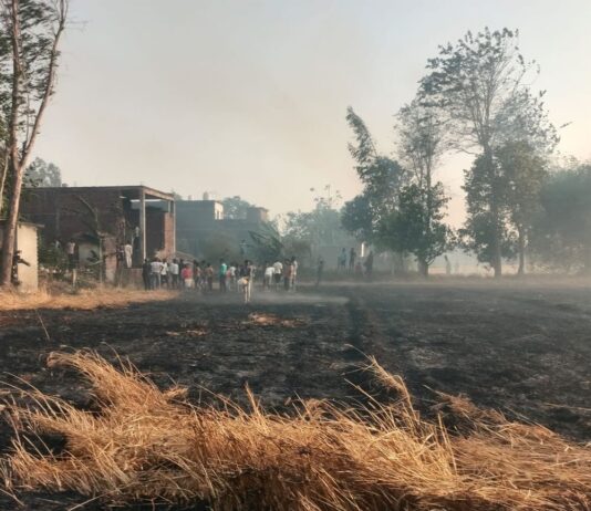 बैजूडेहरा में आग से गेहूं की खड़ी फसल राख:पनियरा क्षेत्र के किसानों को हुआ नुकसान