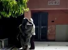 दोस्त की खातिर महिला ने पुलिस कर्मियों से लिया लोहा, मधुमक्खियों से कटवाया