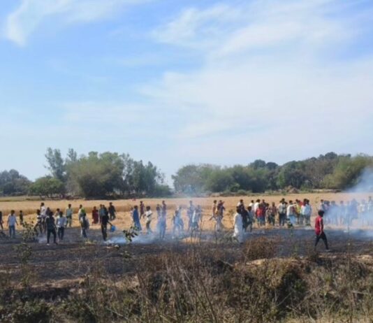 खेसरहा के अर्जी गांव में भीषण आग:सात बीघा गेहूं की फसल जलकर राख, किसानों को भारी नुकसान