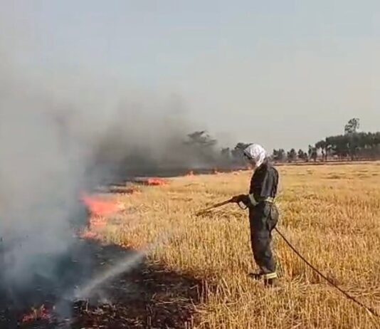 नेवारिया बरदेहरा में खेत में आग:फायर ब्रिगेड ने समय रहते काबू पाया, बड़ा हादसा टला