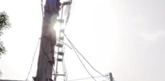 फतेहाबाद : बिजली ट्रांसफार्मर से टकराई स्कूल बस, बाल-बाल बची 45 बच्चों की जान