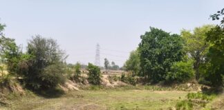 सूखे तालाब-नहर, प्यासे पशु-पक्षी:कप्तानगंज में गर्मी में जल संकट गहराया, अफसर बोले- शासनादेश नहीं, अपने स्तर पर करेंगे प्रयास