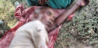 बुजुर्ग पर हमले के बाद पेड़ पर बैठा रहा तेंदुआ:घायल गंभीर हालत में जिला अस्पताल रेफर, ग्रामीणों से सतर्क रहने की अपील