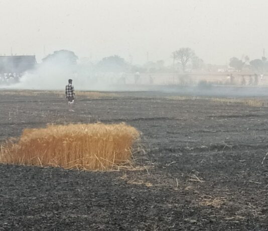 कोट कम्हरिया में 10 एकड़ गेहूं की फसल जली:अज्ञात कारणों से लगी आग, किसानों ने मुआवजे की मांग की