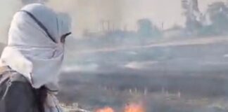 धंसरा गांव में गेहूं के डंठल में लगी आग:फायर टीम ने पाया काबू, बड़ी क्षति टली