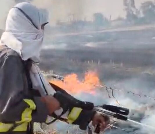 धंसरा गांव में गेहूं के डंठल में लगी आग:फायर टीम ने पाया काबू, बड़ी क्षति टली