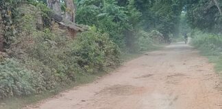 भोथीयाही-गुरली मार्ग क्षतिग्रस्त, आवागमन बाधित:निचलौल में राहगीरों और किसानों को भारी परेशानी का सामना