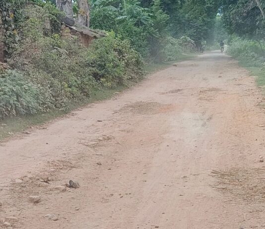 भोथीयाही-गुरली मार्ग क्षतिग्रस्त, आवागमन बाधित:निचलौल में राहगीरों और किसानों को भारी परेशानी का सामना