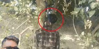 शादी से 6 दिन पहले युवक की मौत:बस्ती में पेड़ से लटका मिला शव, दोनों घुटने जमीन पर, पैरों तले खून के छींटे, प्राइवेट पार्ट पर चोटें