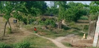 2014 की बाढ़ से क्षतिग्रस्त सड़क अधूरी:श्रावस्ती में लक्ष्मणपुर-सेमरहनिया मार्ग पर ग्रामीणों को परेशानी