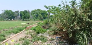 सिसवा खेसरारी ड्रेन पर अतिक्रमण, संकट में अस्तित्व:चौड़ाई 23 मीटर से घटकर 4 मीटर हुई, जलभराव का खतरा