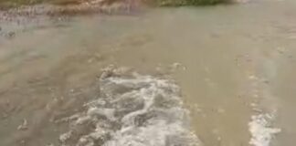 35 ग्राम पंचायतों के अमृत सरोवरों में जल संचय:बलहा में गर्मी से राहत की पहल