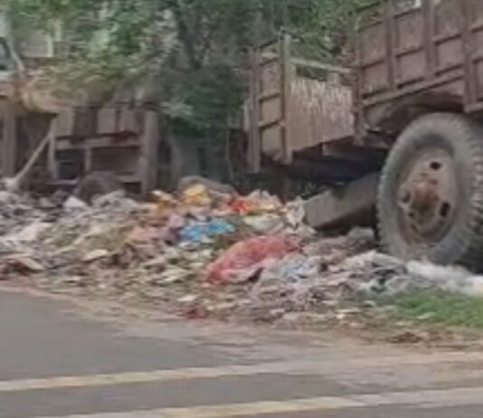 मुख्य मार्ग किनारे कूड़े का ढेर:श्रीदत्तगंज के मुजहना गांव में गंदगी का अंबार, राहगीर परेशान