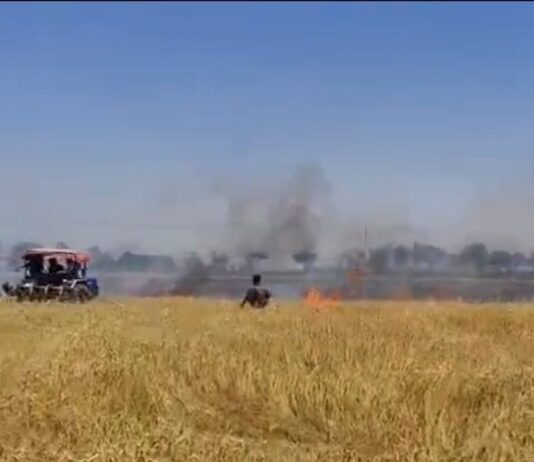 श्रावस्ती में 35 बीघा गेहूं की फसल जलकर राख:ट्रैक्टर से जुताई कर आसपास की फसल बचाने की कोशिश, किसानों ने की मुआवजे की मांग