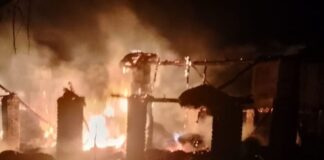 पैकोलिया में छप्परों में आग, 16 बकरियां जलकर राख:बावरपारा और अगया बुजुर्ग गांवों में हुआ हादसा