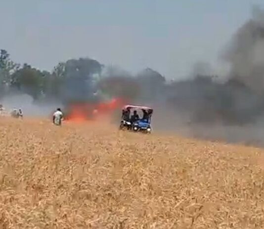 श्रावस्ती में अज्ञात कारणों से गेहूं की फसल जली:अग्गापुर गांव में दर्जनों बीघा फसल राख, किसानों को भारी नुकसान