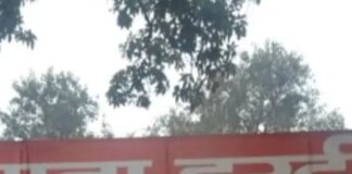 ट्रक चालक ने महिला को कुचलकर भागा, दुष्कर्म का आरोप:बहराइच में मासूम बेटे के सामने हुई वारदात; पुलिस सीसीटीवी खंगालने में जुटी