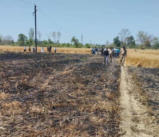 दो बीघा गेहूं की फसल जलकर राख:गौराधुधा में ग्रामीणों और राहगीरों ने कड़ी मशक्कत के बाद पाया काबू