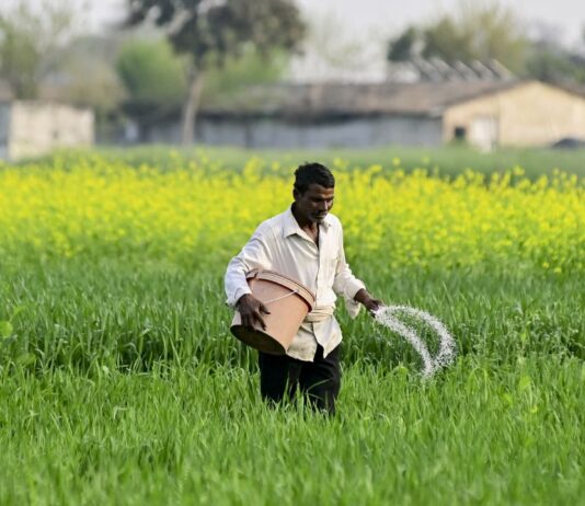 खत्म होगा खाद संकट? सरकार ने बढ़ाई फर्टिलाइजर प्लांट्स को गैस सप्लाई